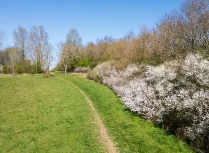 Queens Park Country Park